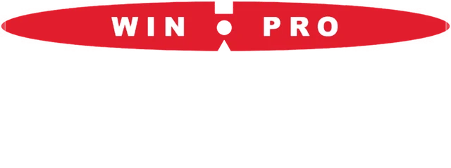 Win-Pro Consultancy Pte Ltd - Transforming Business Digitally